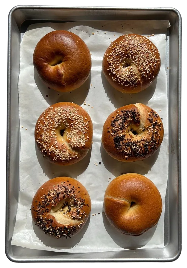 Tray of six golden sourdough bagels topped with sesame seeds