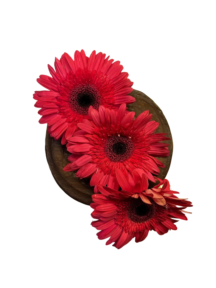 Chocolate cake topped with red gerbera flowers, seen from above