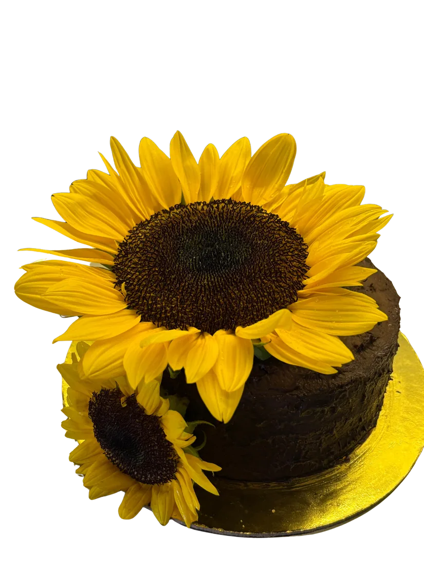 Pure chocolate cake topped with fresh sunflowers on a gold board