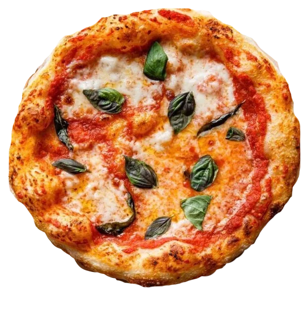 Wood-fired style sourdough margherita pizza with basil