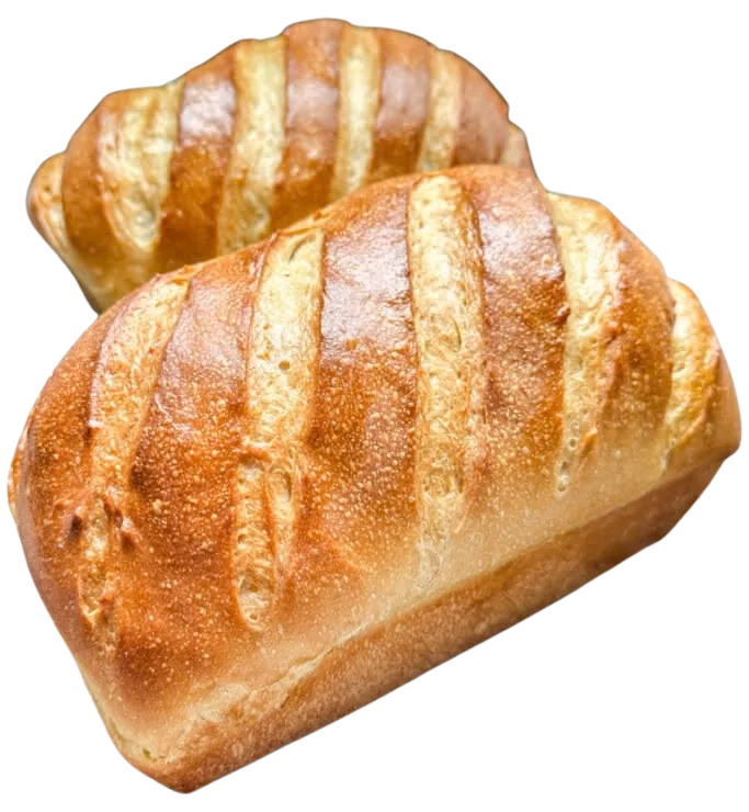 Two golden sourdough sandwich loaves with scored tops